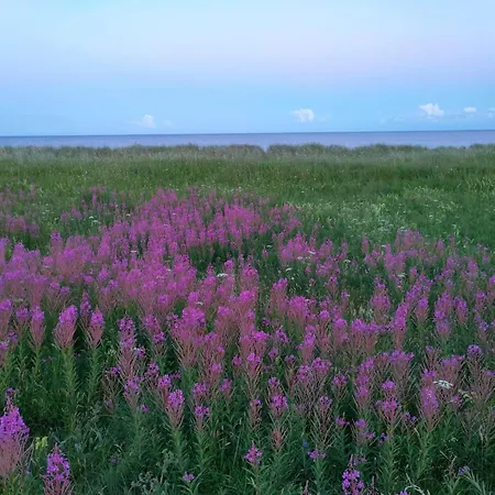 Modern House - By Traum Ferienhaus Bøtø By