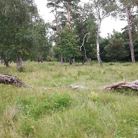 Semesterbostad 4 Star In Vaeggerlose Bøtø By